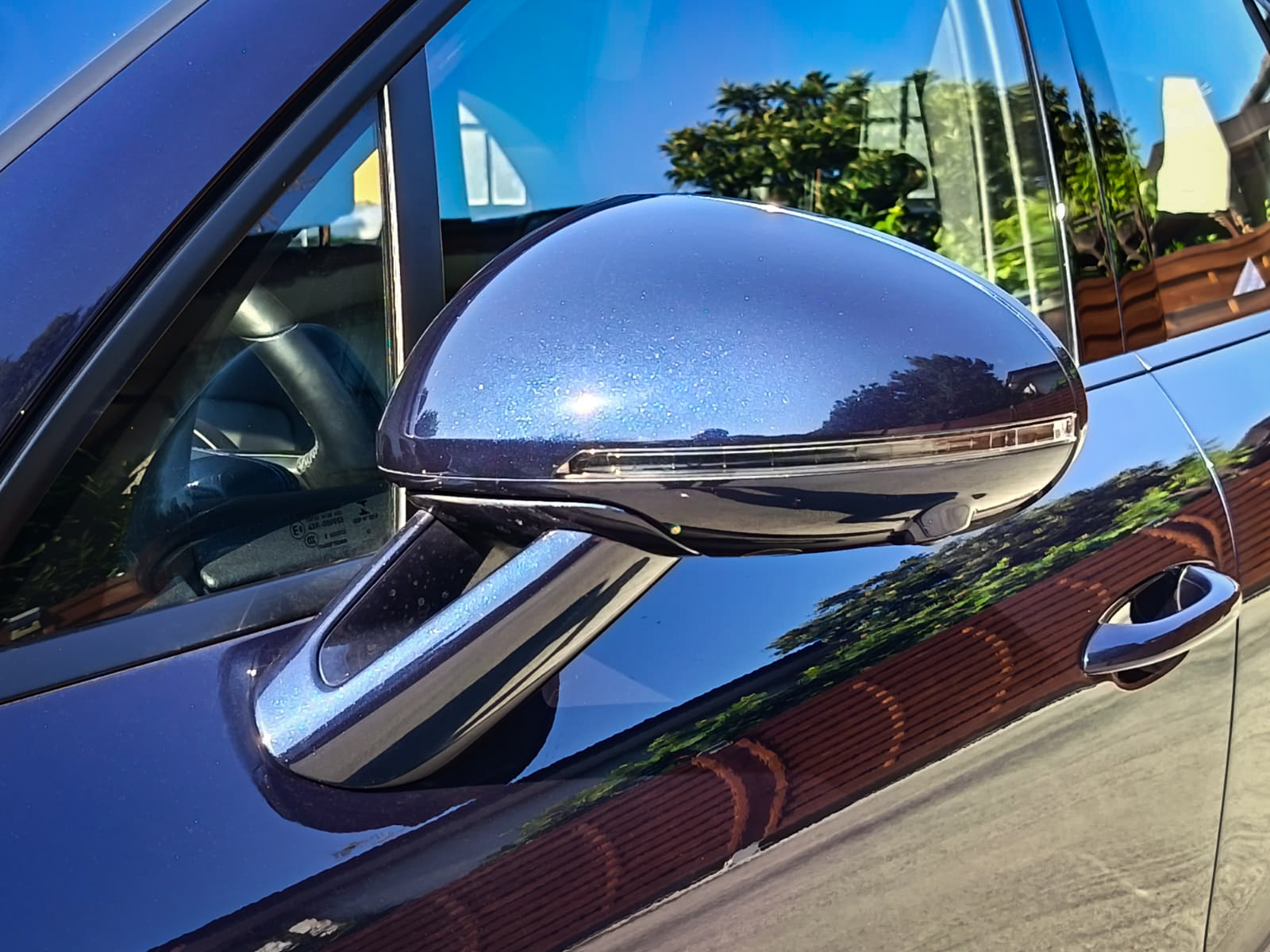 Macan Blu-26