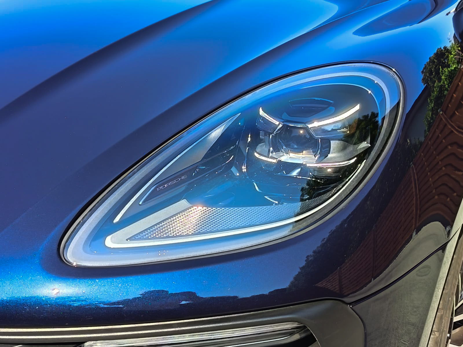 Macan Blu-29